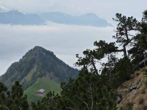 110427-Vierwaldstaettersee-094