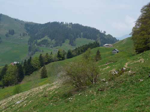 110427-Vierwaldstaettersee-101