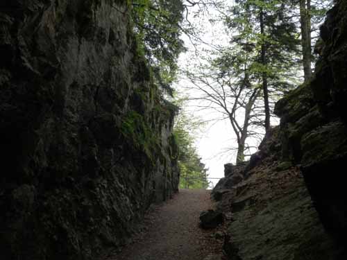 110427-Vierwaldstaettersee-153