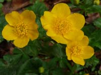 110427-Vierwaldstaettersee-021