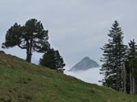 110427-Vierwaldstaettersee-022