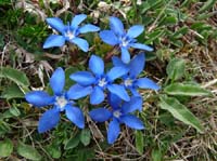 110427-Vierwaldstaettersee-025