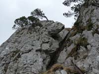 110427-Vierwaldstaettersee-035