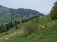 110427-Vierwaldstaettersee-101