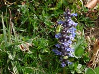 110427-Vierwaldstaettersee-105