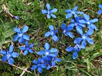 110427-Vierwaldstaettersee-108