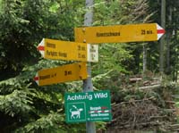 110427-Vierwaldstaettersee-194