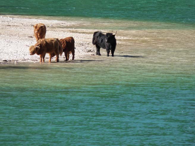 544_Plaetzwiese_Wildsee