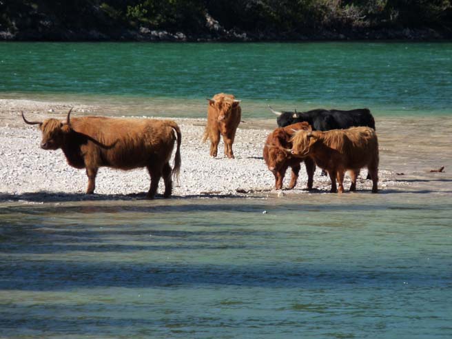 545_Plaetzwiese_Wildsee