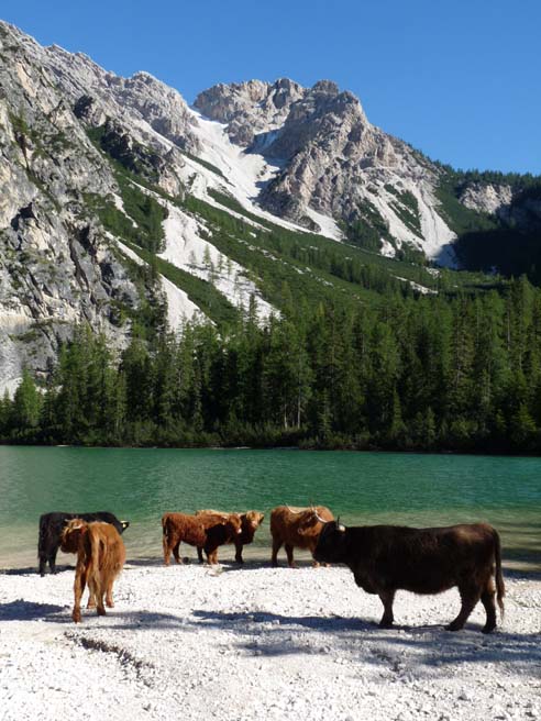 553_Plaetzwiese_Wildsee