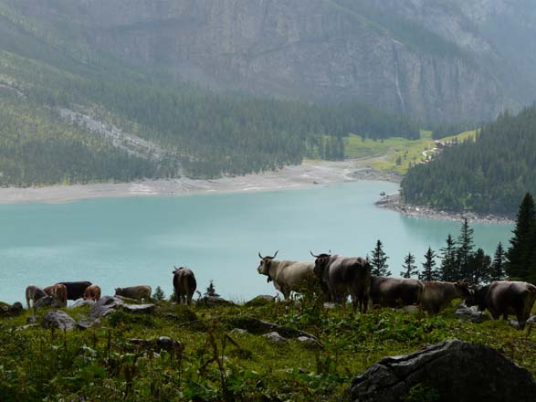 Baerentrek364Gspaltenhornhuette_Oeschinensee