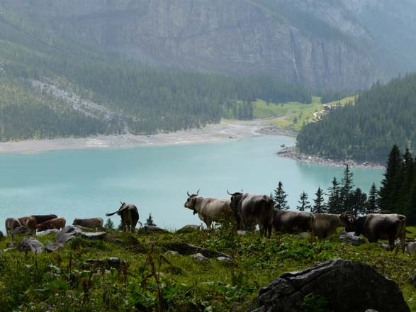 Baerentrek365Gspaltenhornhuette_Oeschinensee