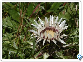 220828_Fuessen-Meran_40519