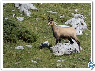 220828_Fuessen-Meran_40573