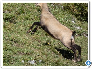 220828_Fuessen-Meran_40577