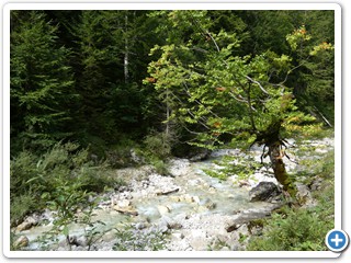 220828_Fuessen-Meran_40602