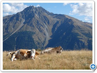 220828_Fuessen-Meran_40721