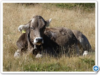 220828_Fuessen-Meran_40724