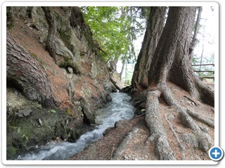 220828_Fuessen-Meran_40890