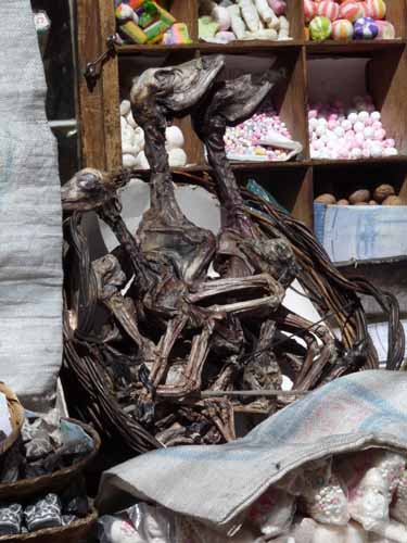 06-Bolivien-La_Paz-061