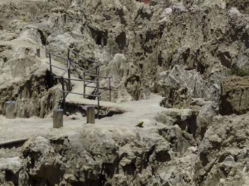 06-Bolivien-La_Paz-107