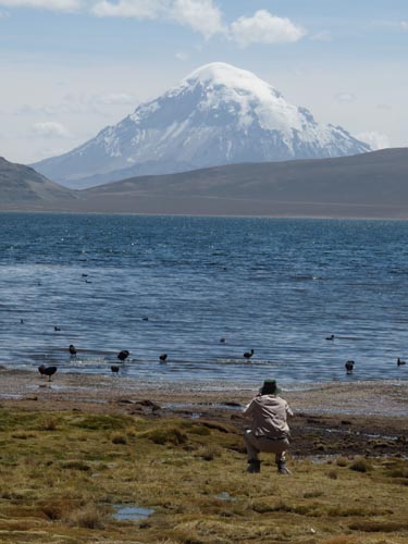 05-Chile-Putre-Lauca-Nationalpark-120