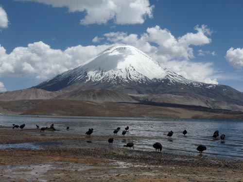 Vulkane ich Chile