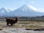 05-Chile-Putre-Lauca-Nationalpark-037