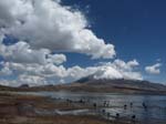 05-Chile-Putre-Lauca-Nationalpark-142