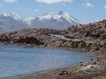 05-Chile-Putre-Lauca-Nationalpark-146