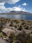 05-Chile-Putre-Lauca-Nationalpark-153