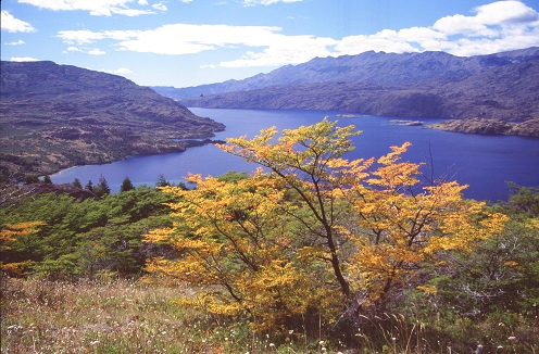 Lago Cochrane