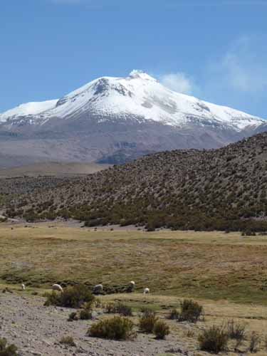 04-Chile-Putre-Lauca-Surire-070