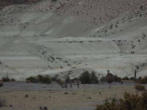 04-Chile-Putre-Lauca-Surire-104