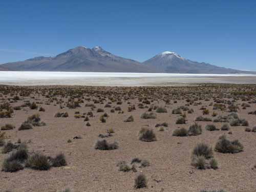 04-Chile-Putre-Lauca-Surire-139