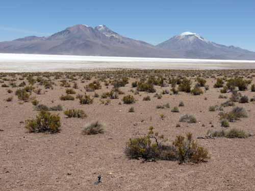 04-Chile-Putre-Lauca-Surire-143