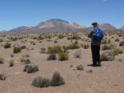 04-Chile-Putre-Lauca-Surire-148