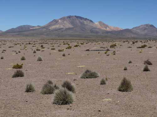 04-Chile-Putre-Lauca-Surire-149