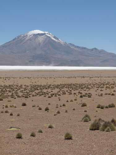 04-Chile-Putre-Lauca-Surire-155