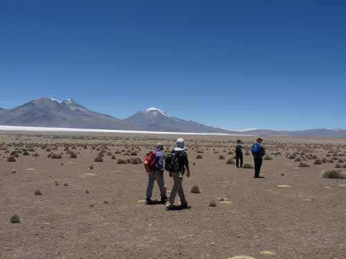 04-Chile-Putre-Lauca-Surire-164