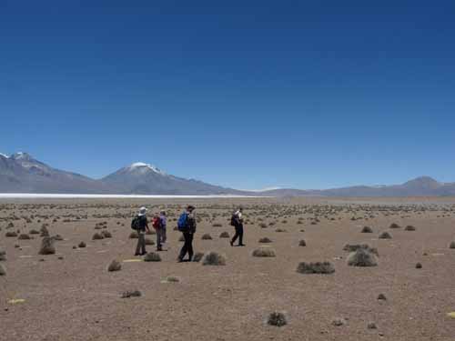 04-Chile-Putre-Lauca-Surire-165