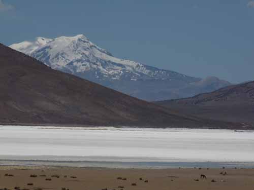 04-Chile-Putre-Lauca-Surire-168