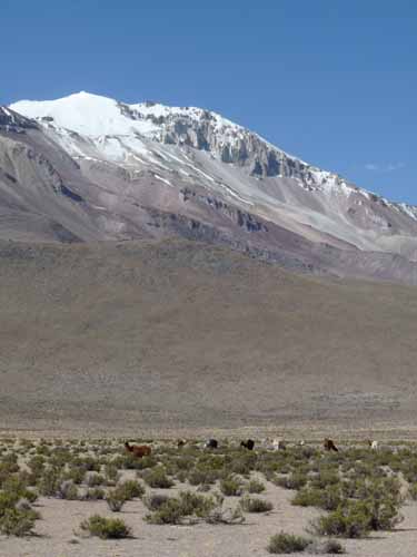 04-Chile-Putre-Lauca-Surire-226