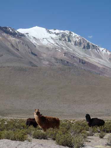 04-Chile-Putre-Lauca-Surire-230