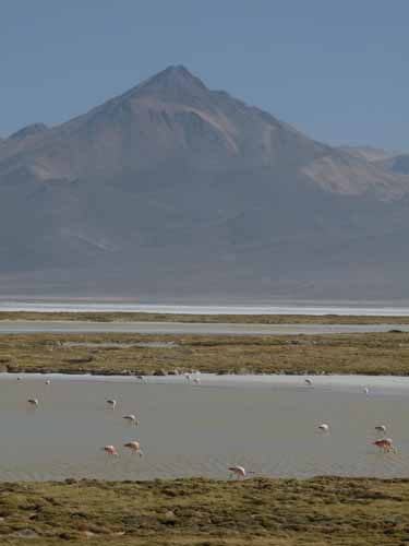 04-Chile-Putre-Lauca-Surire-265