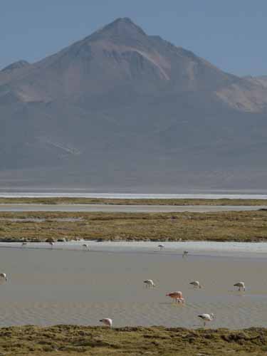 04-Chile-Putre-Lauca-Surire-266