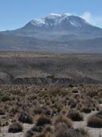 04-Chile-Putre-Lauca-Surire-025