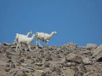 04-Chile-Putre-Lauca-Surire-075