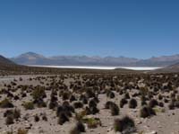 04-Chile-Putre-Lauca-Surire-120