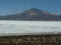 04-Chile-Putre-Lauca-Surire-124